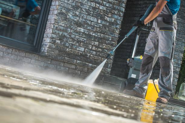 Best Fleet Vehicle Washing  in Roscoe, IL
