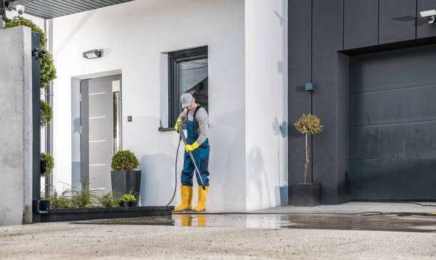 Best Gutter Cleaning  in Roscoe, IL